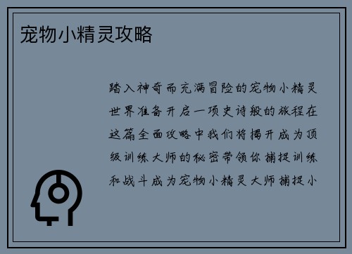 宠物小精灵攻略