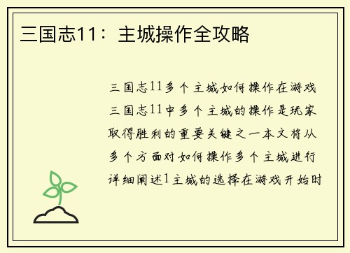 三国志11：主城操作全攻略