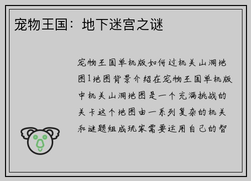 宠物王国：地下迷宫之谜