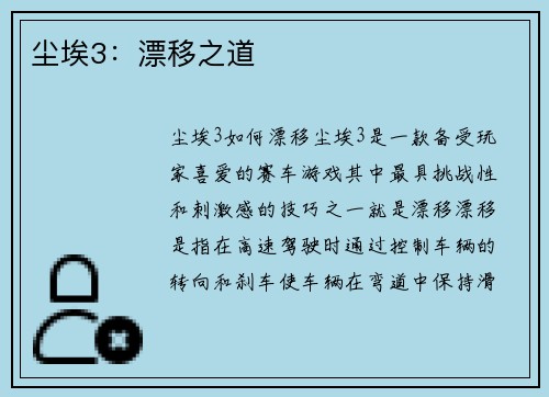 尘埃3：漂移之道
