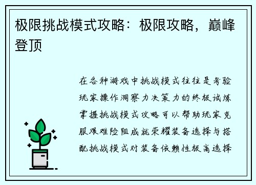 极限挑战模式攻略：极限攻略，巅峰登顶