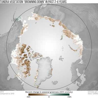北极圈的气候类型特点（北极圈气候变暖的征兆）