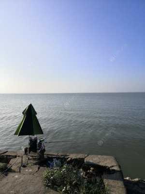 关于上海淀山湖哪里可以野钓的信息