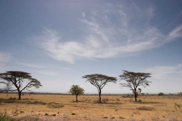 非洲埃塞俄比亚气候干燥吗（埃塞俄比亚的自然条件）