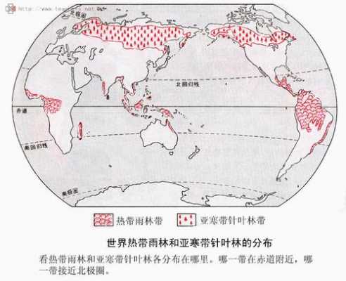 亚热带针叶林气候分布地区（亚热带针叶林气候分布地区图）