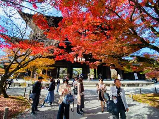 京都10月气候（京都11月温度）