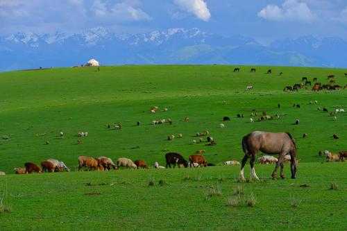 新疆56月的气候（新疆五月份气候）