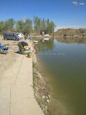 新疆野钓资源（新疆的钓鱼的季节）