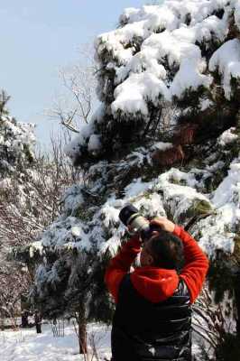 相机拍雪景用风景模式（相机拍雪景用什么模式）