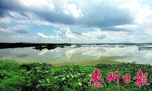 潼湖气候气象（潼湖气候气象特征）