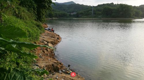 广州黄埔野钓的河流