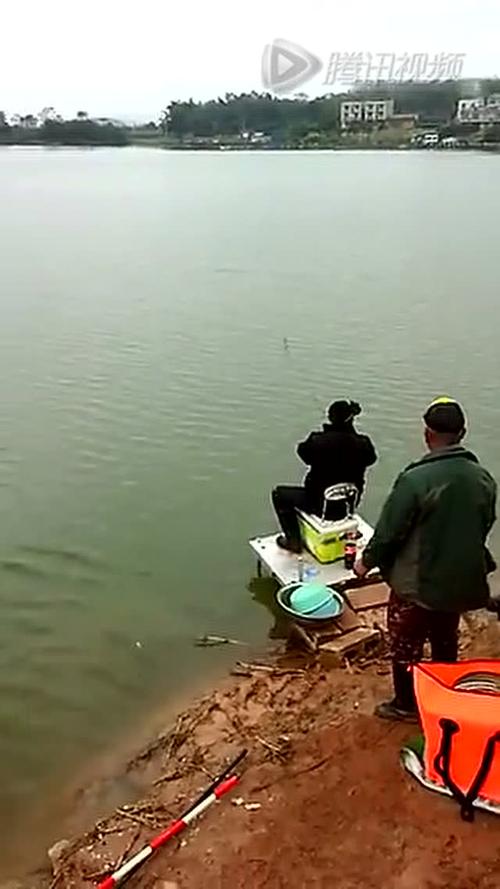 广西钓鱼视频野钓