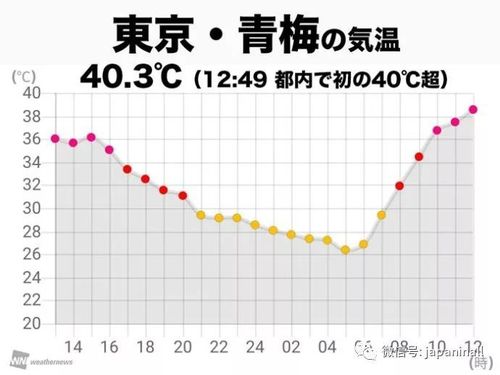 东京最高气候